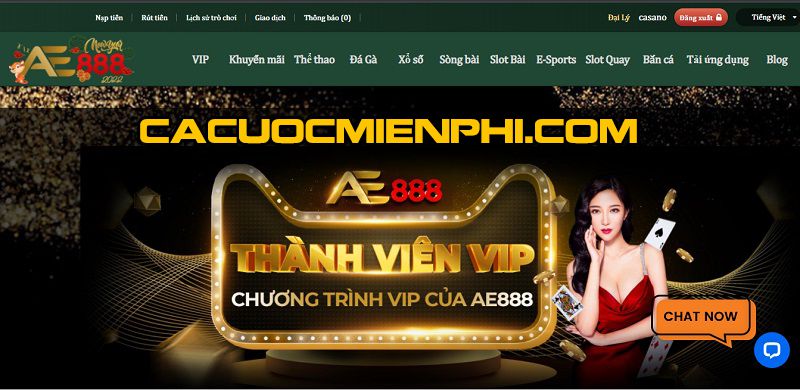 Hình minh họa — Kubet77