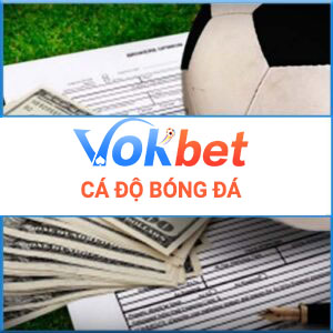 cá độ bóng đá