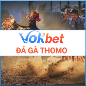 đá gà thomo