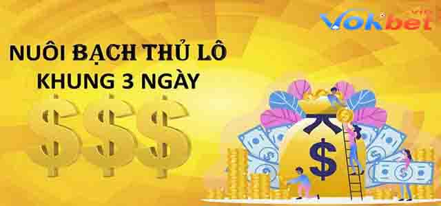 Nuôi độc thủ lô theo khung 3 ngày